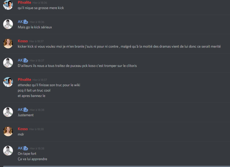 Fichier:Discord Kickgate 3.png