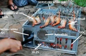 Serveurs webedia.png