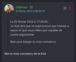 Sanger epingle 4.jpg