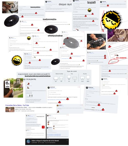 Fichier:Zebra Foino.jpg