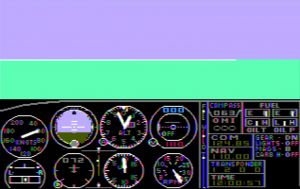 Flight Simulator 1.jpg