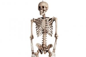 Hanging-skeleton.jpg